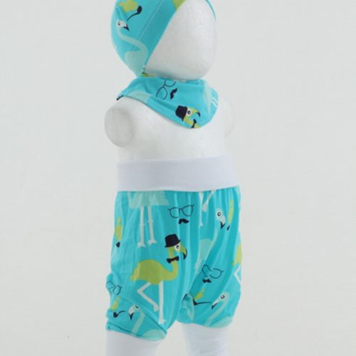 Hose, Mütze und Halstuch Gr. 50/56